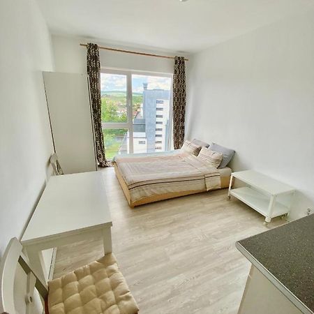 Cozy Studio Near The Center Of Cluj Buitenkant foto