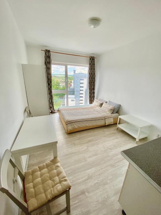 Cozy Studio Near The Center Of Cluj Buitenkant foto
